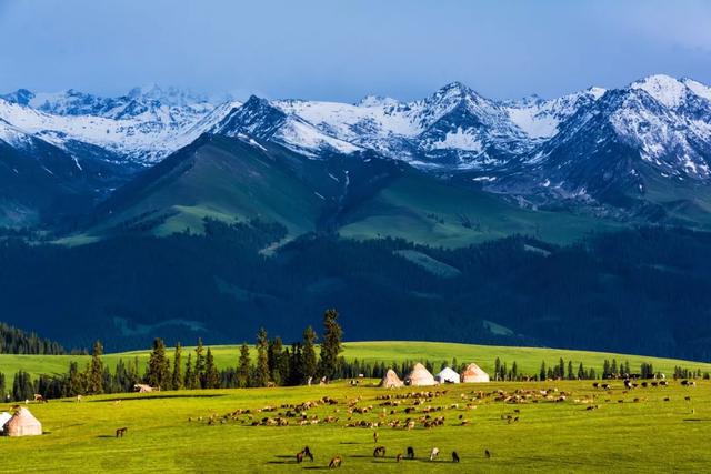 新疆，尊敬的领导与朋友们共聚一堂